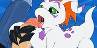 Gomamon Trainer