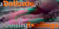 Delicate Feelings