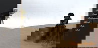 Desert Stalker – Version 0.01 Prologue